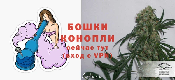 спайс Гусь-Хрустальный
