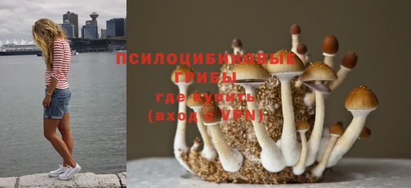 не бодяженный Гусев