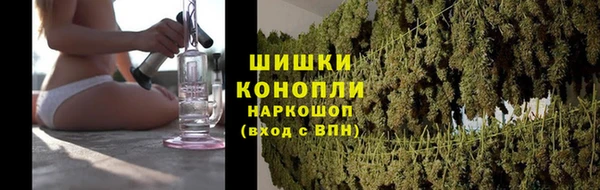 спайс Гусь-Хрустальный