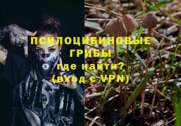 не бодяженный Гусев