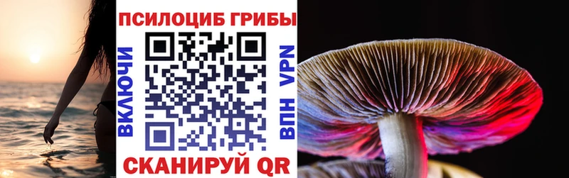 Купить где  Куса  Псилоцибиновые грибы прущие грибы 